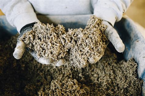  Hempcrete Nedir ve İnşaatta Nasıl Bir Devrim Yaratıyor?!